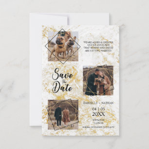 Carte Chiens Animaux de compagnie Trois Photos Engagé E