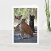 Carte Chiens assis dans le triage (Devant)