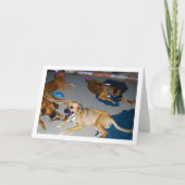 Carte Chiens avec des os et des serviettes (Devant)