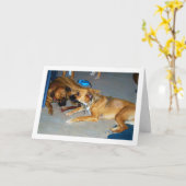 Carte Chiens avec os (Fleur jaune)