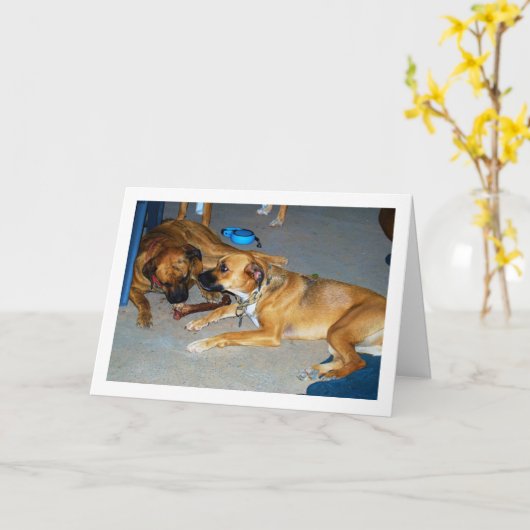 Carte Chiens avec os (Fleur jaune)
