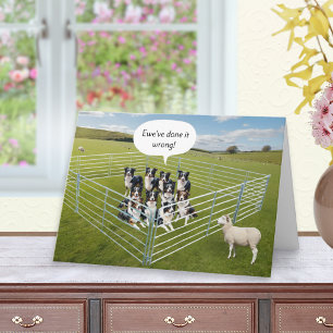 Carte Chiens Border Collie et mouton drôle d'anniversair