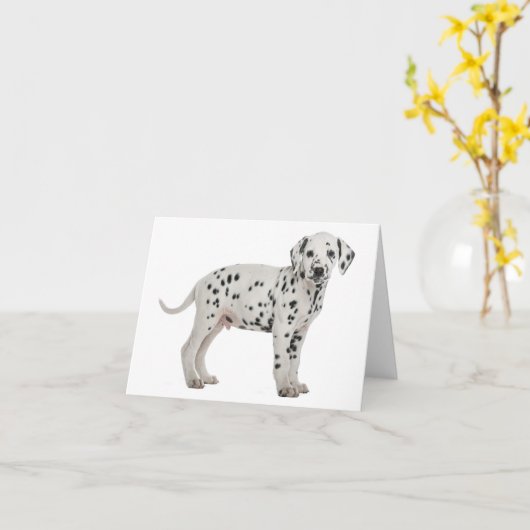 Carte Chiens dalmatien chiots Bonjour Merci Amour, Désol (Fleur jaune)