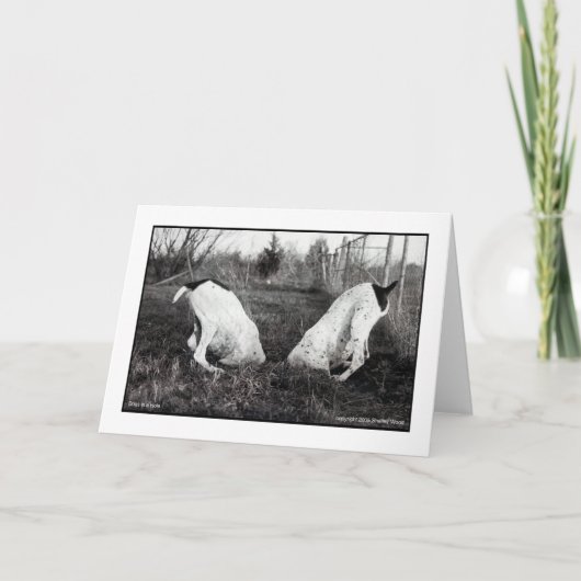 Carte Chiens dans un trou (Devant)