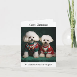 Carte Chiens de Bichon Frise en pulls de Noël