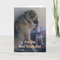 Chiens de félicitations d'obtention du diplôme