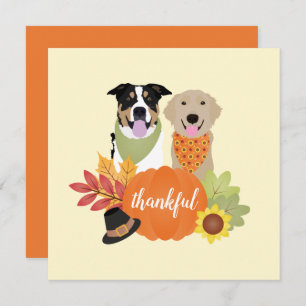 Carte Chiens de grâce Thanksgiving Citrouilles de récolt