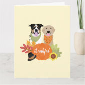 Carte Chiens de grâce Thanksgiving Citrouilles de récolt (Devant)