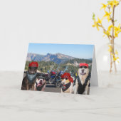 Carte Chiens de motards amusants à l'anniversaire d'une (Fleur jaune)