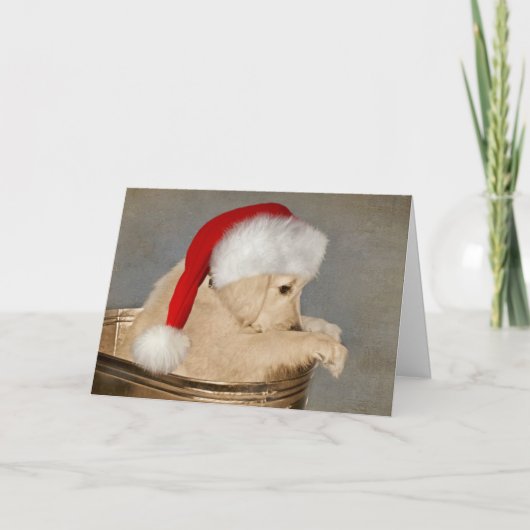 Carte Chiens de Noël Retriever doré (Devant)