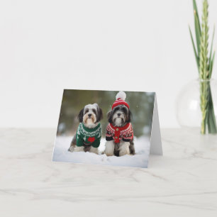 Carte Chiens de Noël Tibétains