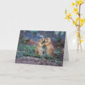 Carte Chiens de prairie à queue noire - (Cynomys ludovic (Fleur jaune)