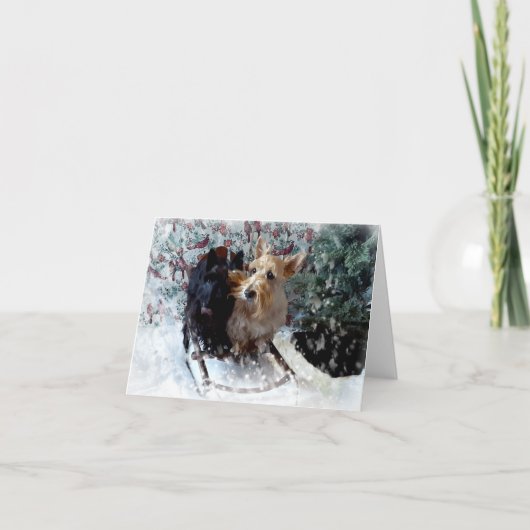 Carte Chiens de Traîneau (Devant)