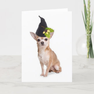 Carte Chiens Ditzy~Carte de voeux originale~Chihuahua