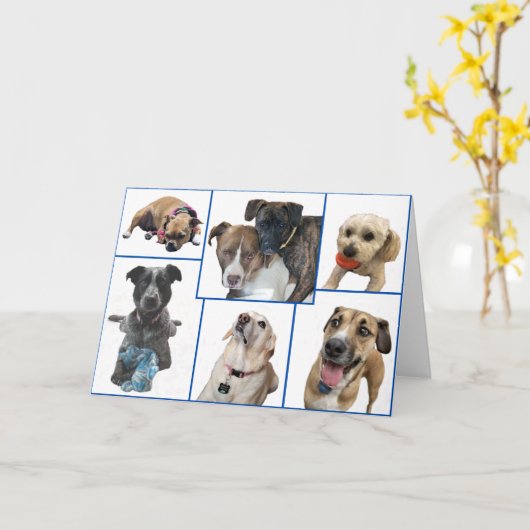 Carte Chiens du comté de Johnston (Fleur jaune)