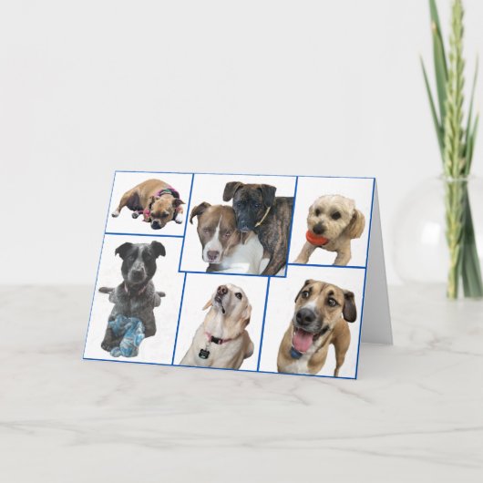 Carte Chiens du comté de Johnston (Devant)