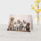 Carte Chiens et chats d'anniversaire (Fleur jaune)