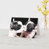 Carte Chiens français (Fleur jaune)