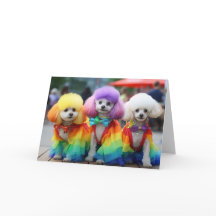 Chiens gay pride Bichon Frisse