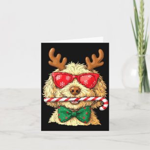 Carte Chiens Goldendoodle Mignons Lumières de Noël Golde