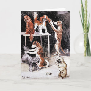 Carte : Chiens Grooming Chiens