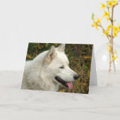 Carte Chiens malamutés de l'Alaska (Fleur jaune)