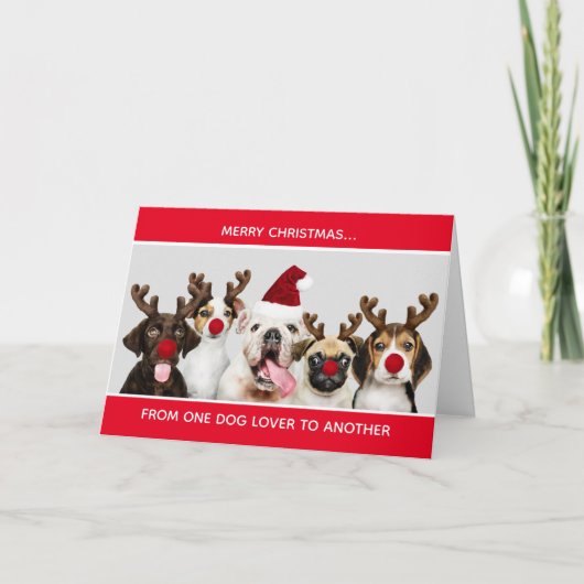 Carte Chiens mignons Joyeux Noël Amoureux des chiens Noë (Devant)