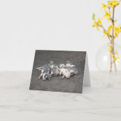 Carte Chiens qui dorment (Fleur jaune)