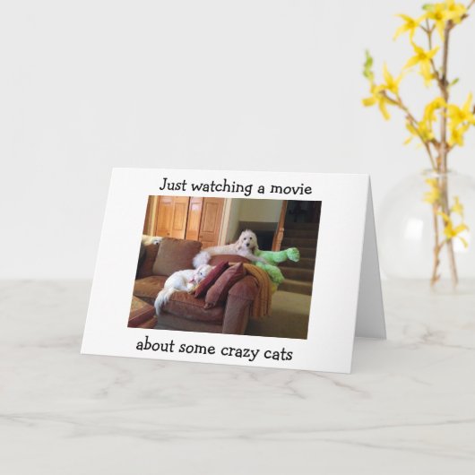 CARTE CHIENS REGARDANT LE FILM À PROPOS DE CRAZY CATS-BI (Fleur jaune)