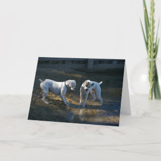 Carte Chiens Rencontrez Leur Première Vague