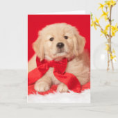 Carte Chiens Retriever doré Saisons Gurr-eetings Chiot (Fleur jaune)