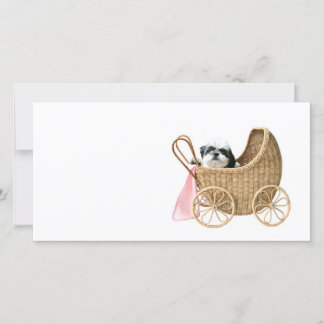 Carte Chih Tzu baby buggy