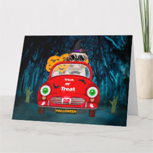 Carte Chih Tzu Chien Conduite Voiture Effrayant Hallowee