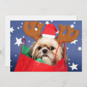 Carte Chih Tzu chien dans un sac rouge (Devant / Derrière)