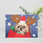 Carte Chih Tzu chien dans un sac rouge (Debout devant)