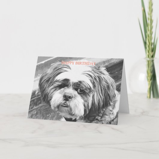 CARTE CHIH TZU DOG (Devant)