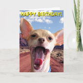 Carte Chihuahua (Devant)