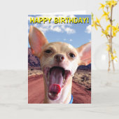 Carte Chihuahua (Fleur jaune)