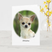 Carte Chihuahua 9P93D-123 (Fleur jaune)