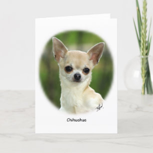 Carte Chihuahua 9P93D-123