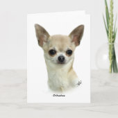 Carte Chihuahua 9P93D-123_2 (Devant)