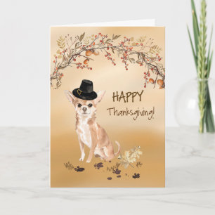 Carte Chihuahua Chapeau de Pèlerin Drôle de Thanksgiving