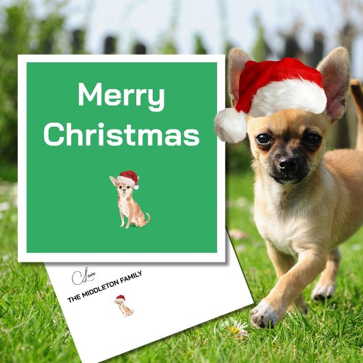 Carte Chihuahua Chien blanc Vert Joyeux voeux Noël