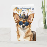 Chihuahua Chig King pour une journée d'anniversair