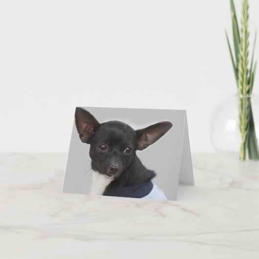 Carte Chihuahua Dog (Devant)