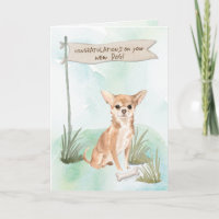Chihuahua Félicitations pour le nouveau chien