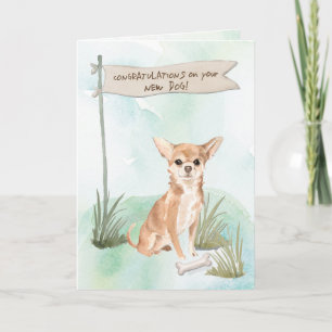 Carte Chihuahua Félicitations pour le nouveau chien
