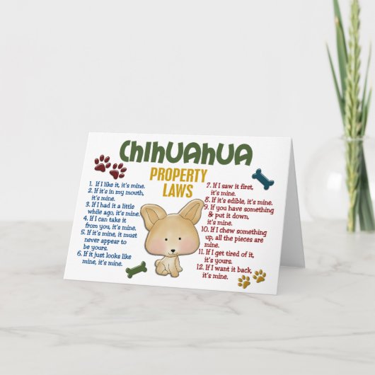 Carte Chihuahua, lois sur la propriété 4 (Devant)