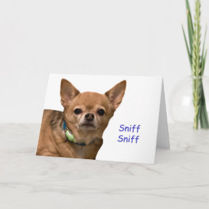 Carte Chihuahua Sniff Birthday Card