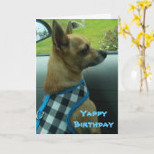 Carte Chihuahua Yappy Birthday Card (Fleur jaune)